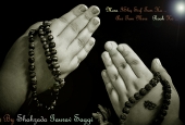IIP Online Student Photography